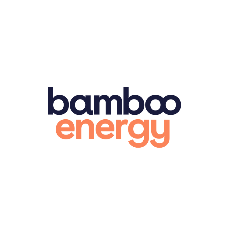 Sara Rovira WordPress Website Designer - Bamboo Energy