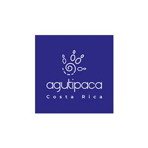 Sara Rovira WordPress Website Designer - Agutipaca